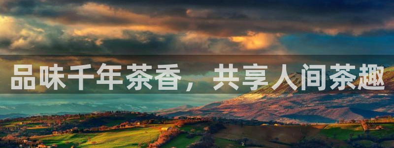 摩登7经3299O7