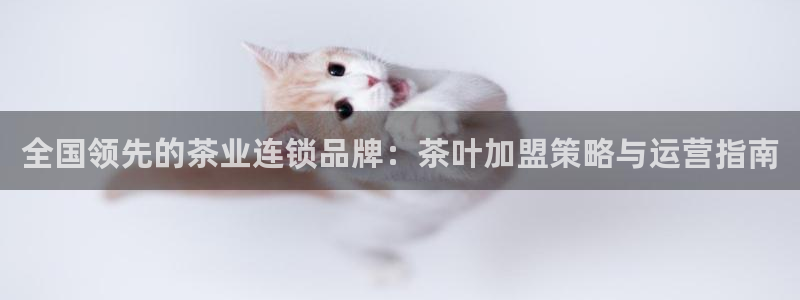 摩登7高阶