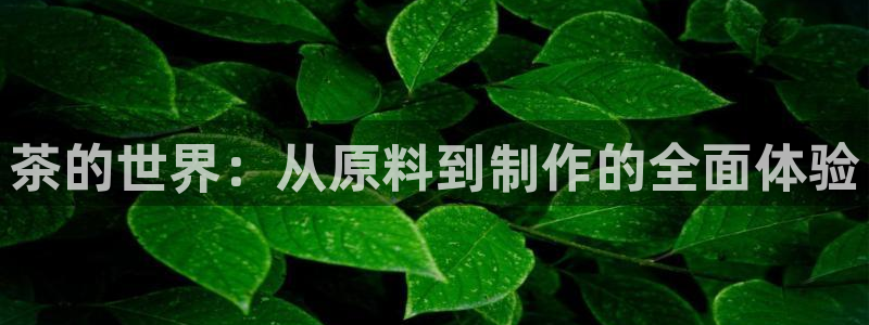 摩登招商尢首选金手指7