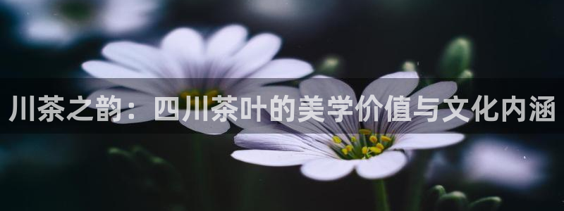 摩登7app官网下载