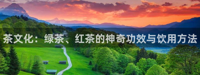 摩登7招商主管