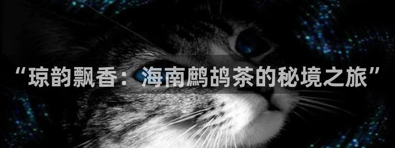 摩登3褚7O667
