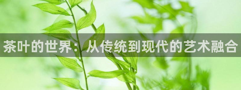 摩登6跟摩登7的区别