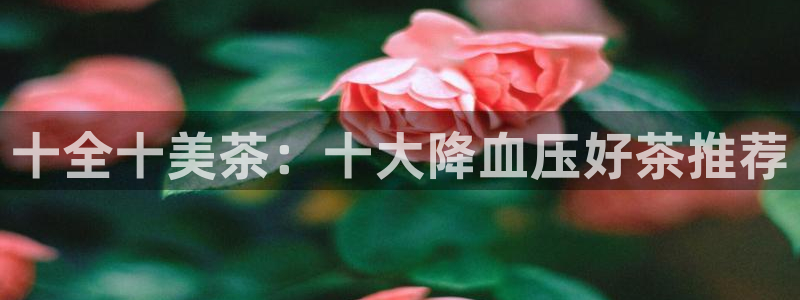 摩登7升