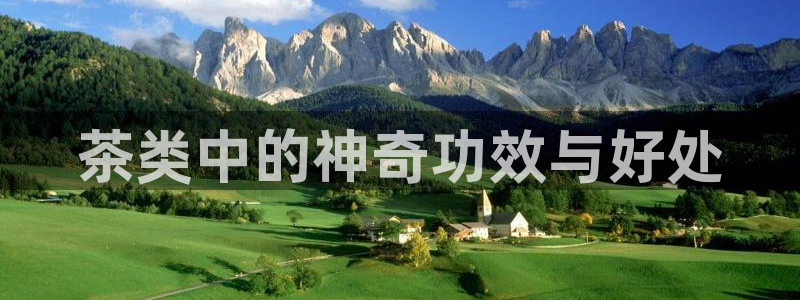 摩登7股东