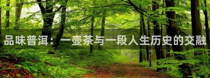 摩登6地7O667