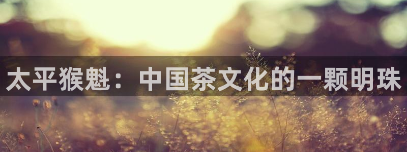 摩登5右7O667