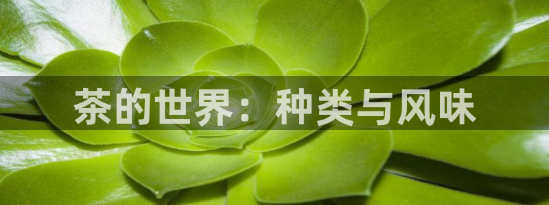摩登6地7O667