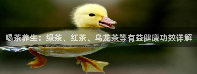 国际版摩登世界7