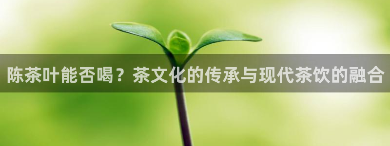 摩登7后