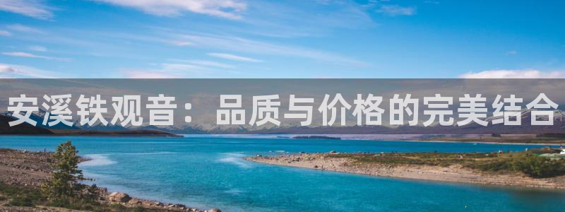 摩登4右7O667