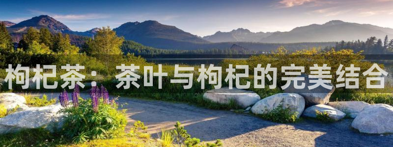 摩登7日7O667