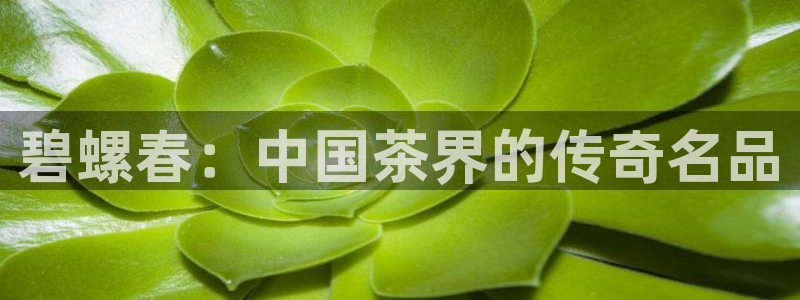 摩登2 7