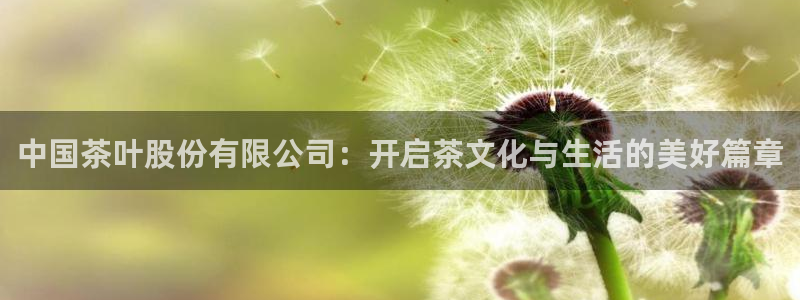 摩登7楼