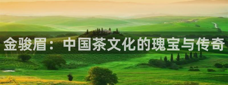 摩登3后7O667