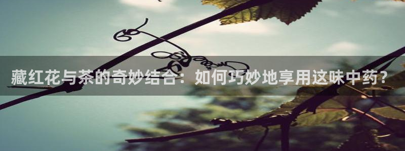 摩登7排名