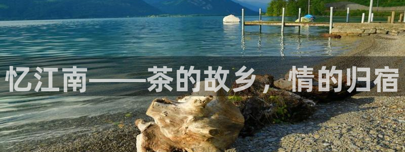 摩登7平台382223