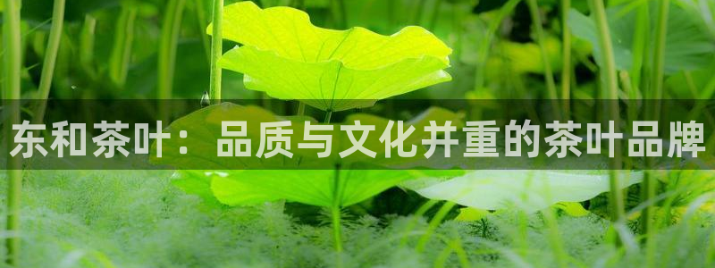 摩登4左7O667