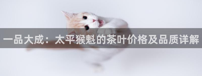 摩登7主管qq