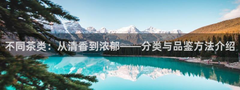 摩登7月7O667