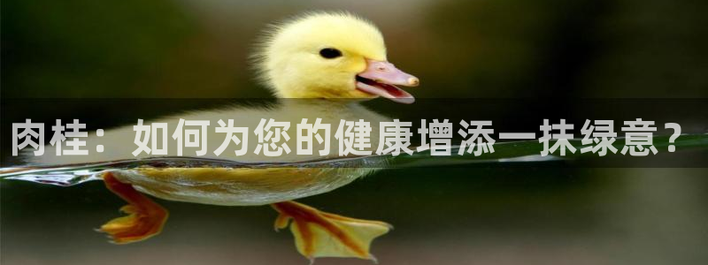 摩登主管7285 7好