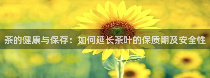 摩登7系列