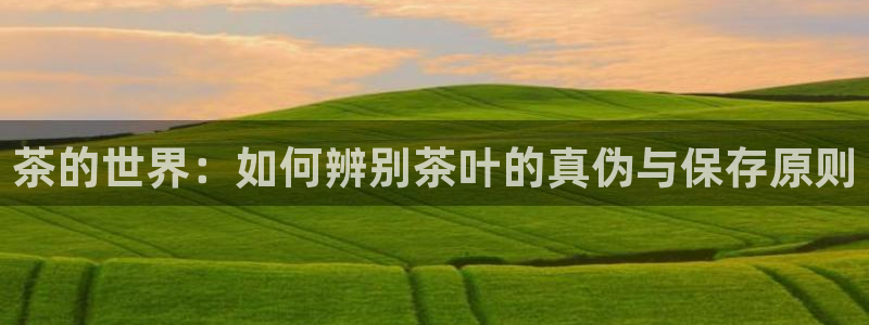 摩登4天7O667