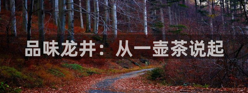 摩登7平台信誉