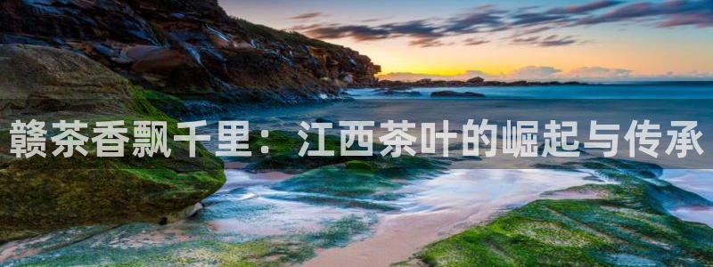摩登5冯7O667