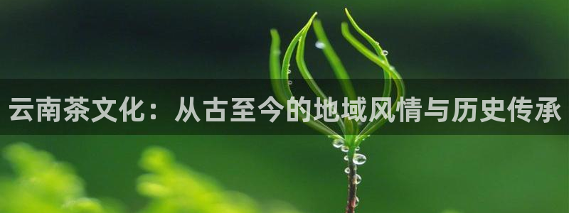 摩登7地3299O7