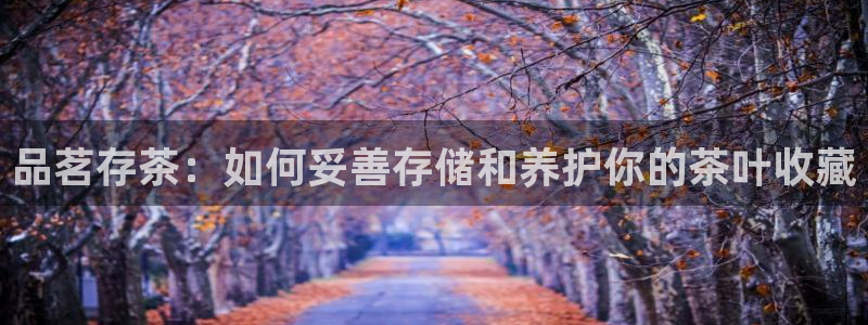 摩登7泽333OO