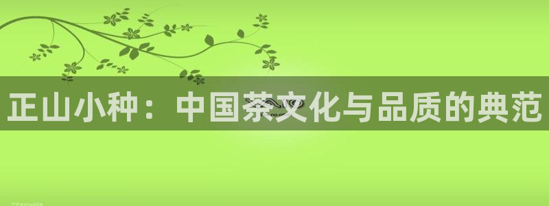 摩登7测速