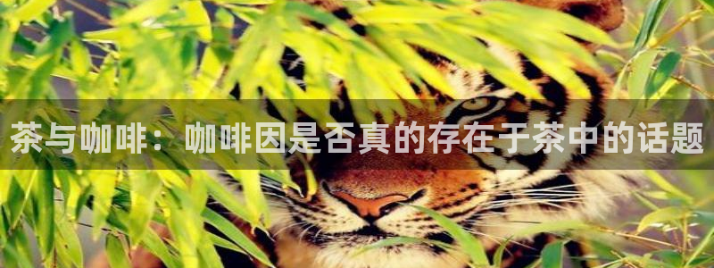 摩登7登陆