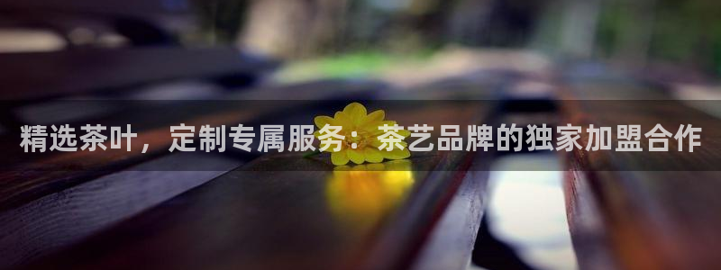 摩登3褚7O667