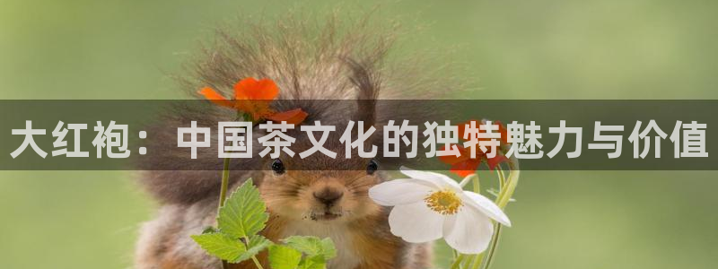 摩登7网彩正规吗