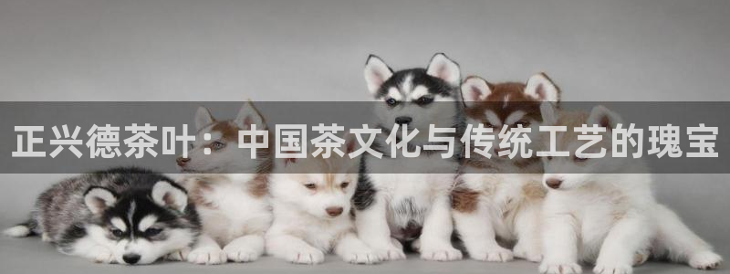摩登7楼