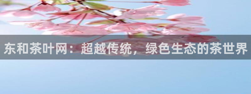 摩登6吕7O667