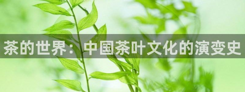 摩登7上