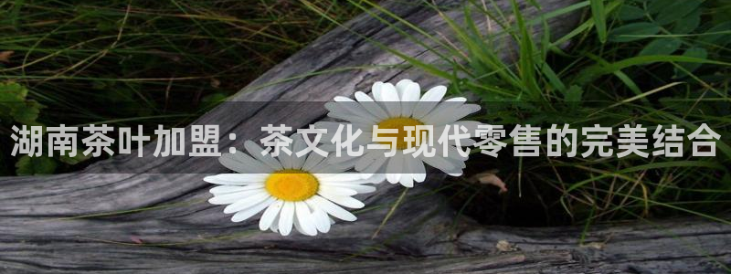 摩登平台标7O777
