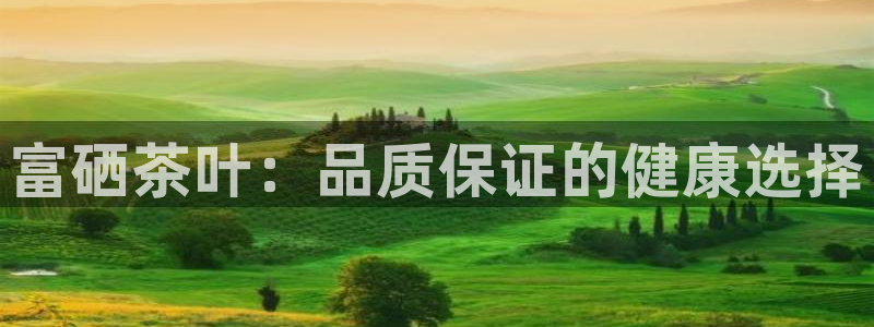摩登7日7O667