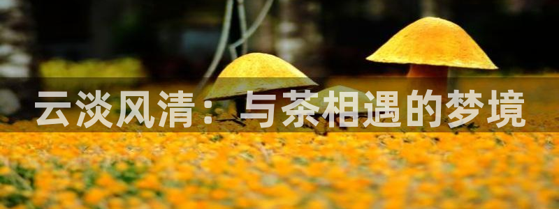 摩登7