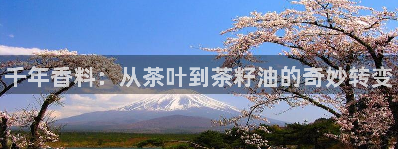 华彩7级摩登