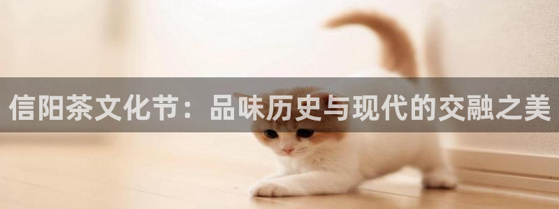 摩登7上7O667