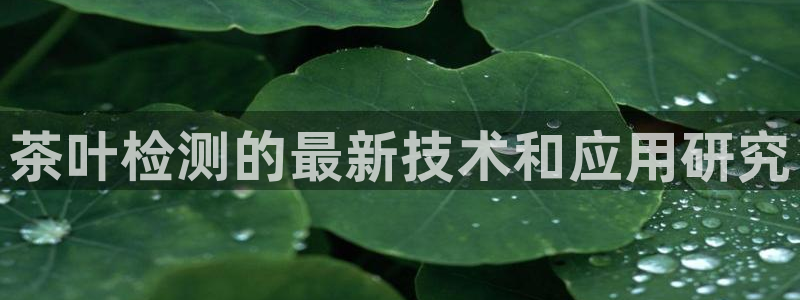 摩登7平台首页
