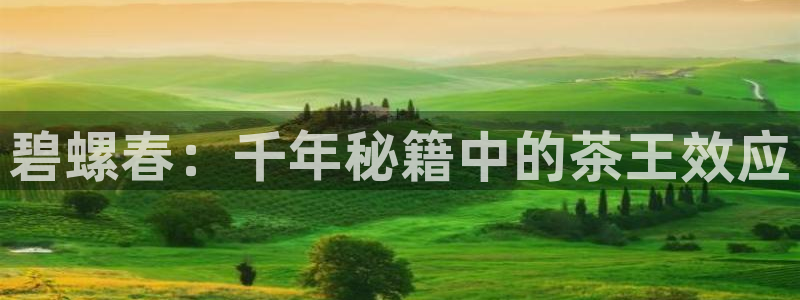 摩登5周这7O667
