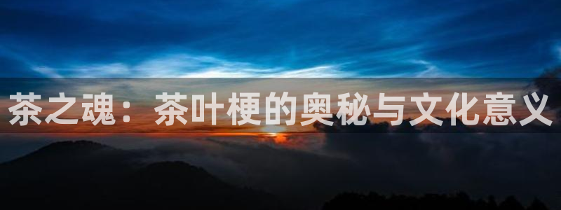 摩登7招商主管