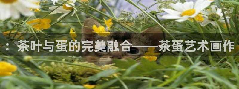 摩登6天7O667