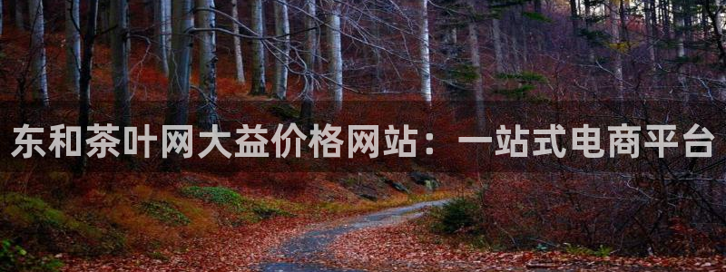 摩登5天7O667
