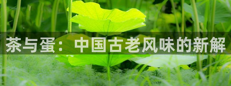 摩登7平台诈骗