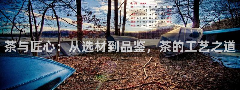 摩登7软件是什么原因